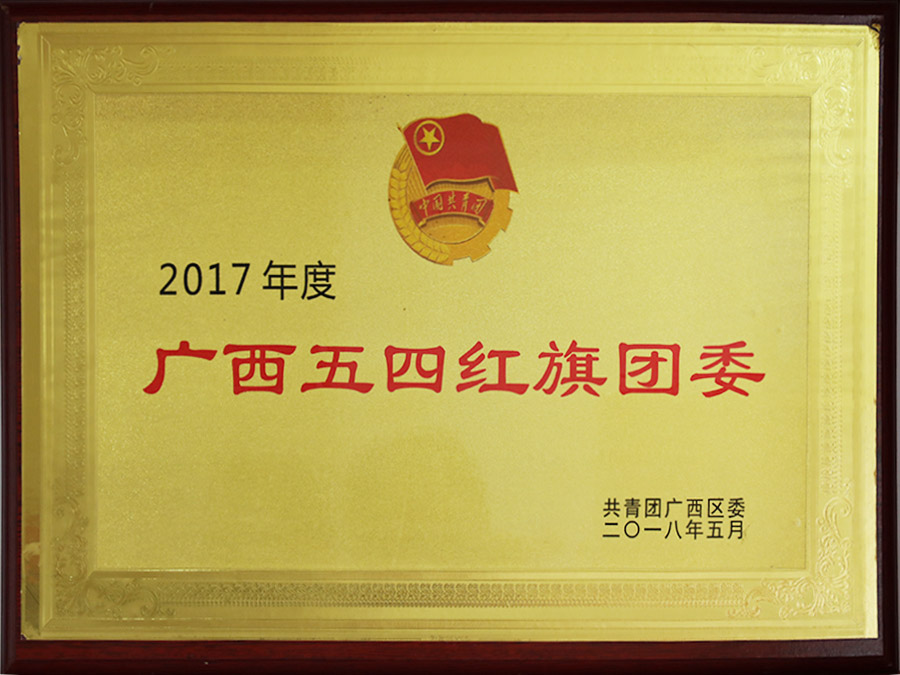 2017年度广西五四红旗团委